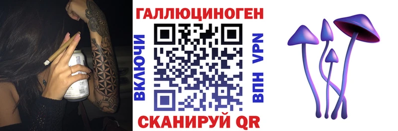 кракен   Кемерово  Псилоцибиновые грибы Cubensis 